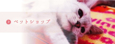 ペットショップ